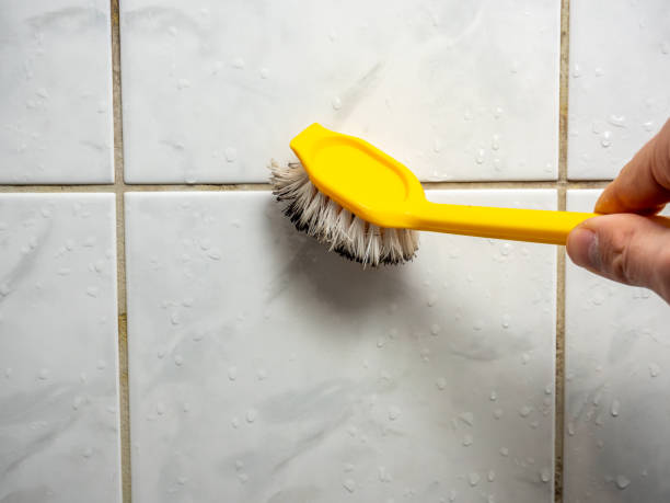 Best Black Mold Remediation in Fort Worth, TX
