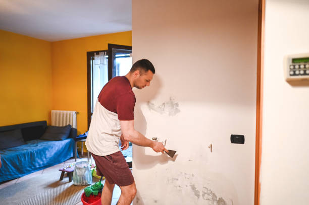 Best Basement Mold Remediation in Fort Worth, TX