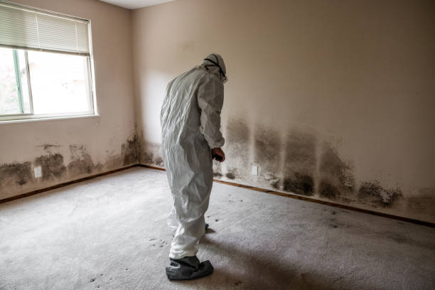 Best HVAC Mold Remediation in Fort Worth, TX